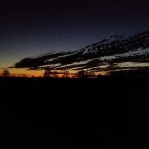 Meet your Posher, Romano